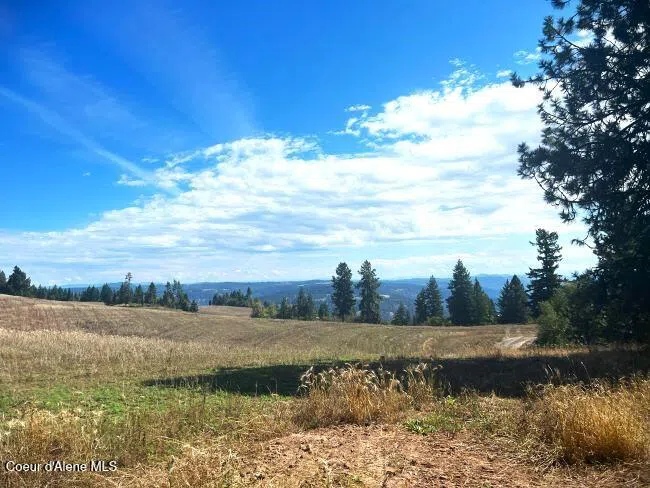 NKA 618acs Freeman Creek Road Lenore, ID 83541