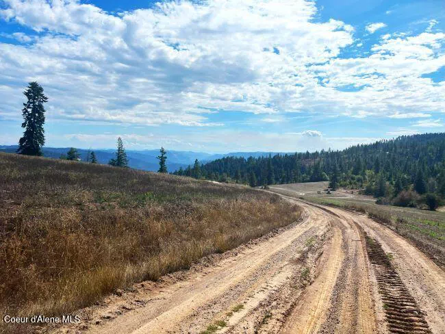 NKA 618acs Freeman Creek Road Lenore, ID 83541