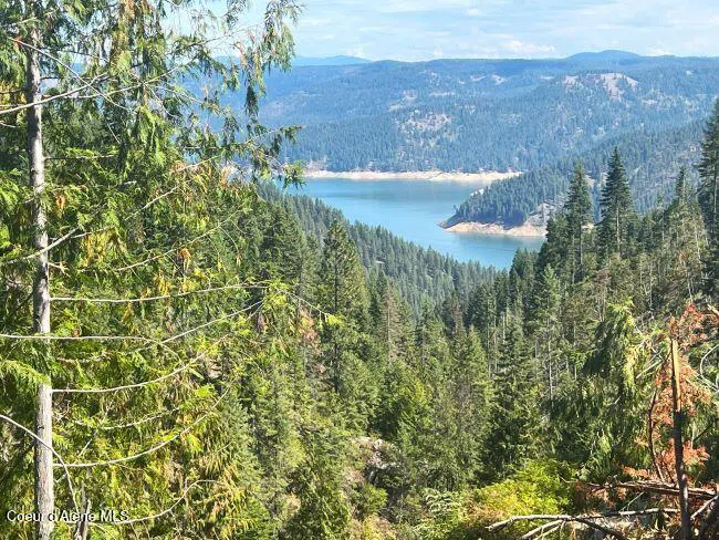 NKA 618acs Freeman Creek Road Lenore, ID 83541