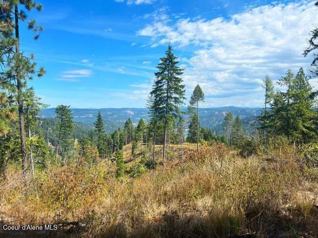 NKA 618acs Freeman Creek Road Lenore, ID 83541