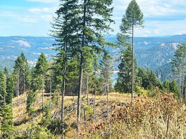 NKA 618acs Freeman Creek Road Lenore, ID 83541