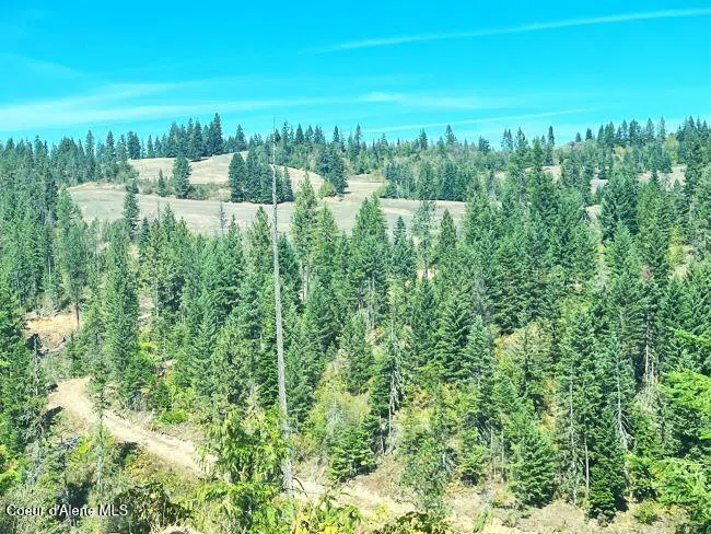 NKA 618acs Freeman Creek Road Lenore, ID 83541