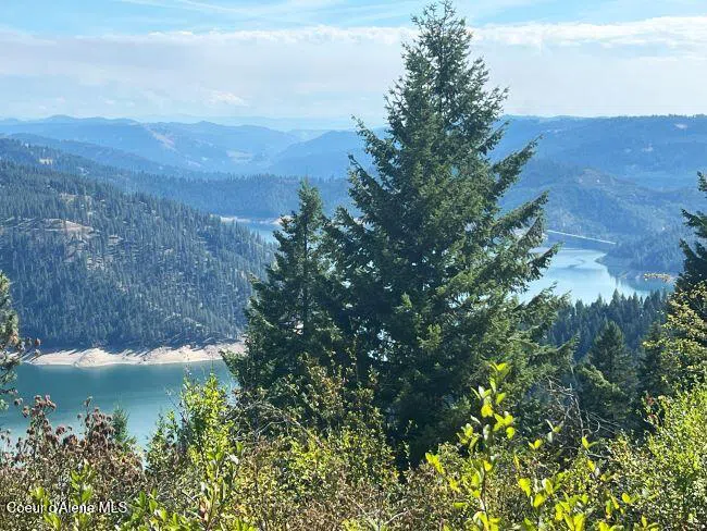 NKA 618acs Freeman Creek Road Lenore, ID 83541