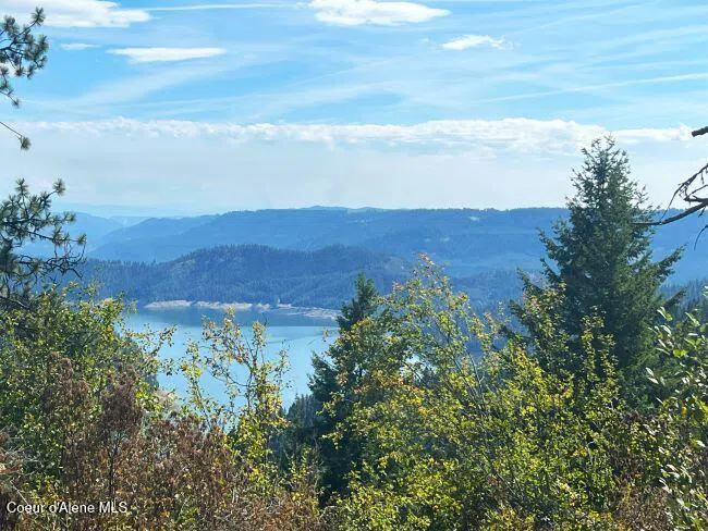 NKA 618acs Freeman Creek Road Lenore, ID 83541