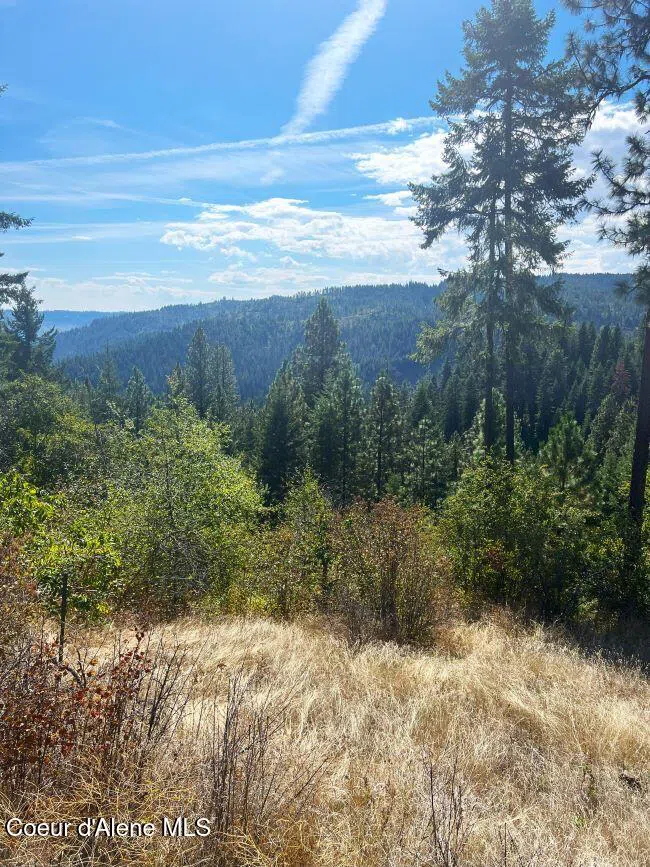 NKA 618acs Freeman Creek Road Lenore, ID 83541