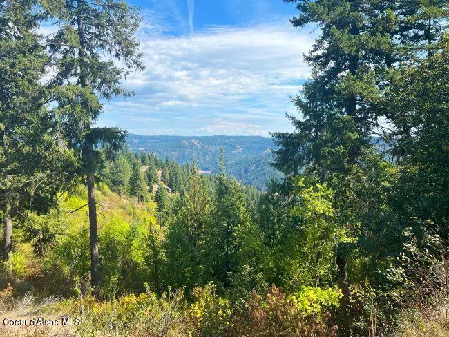 NKA 618acs Freeman Creek Road Lenore, ID 83541