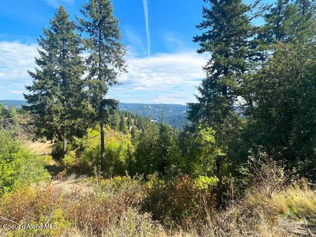 NKA 618acs Freeman Creek Road Lenore, ID 83541