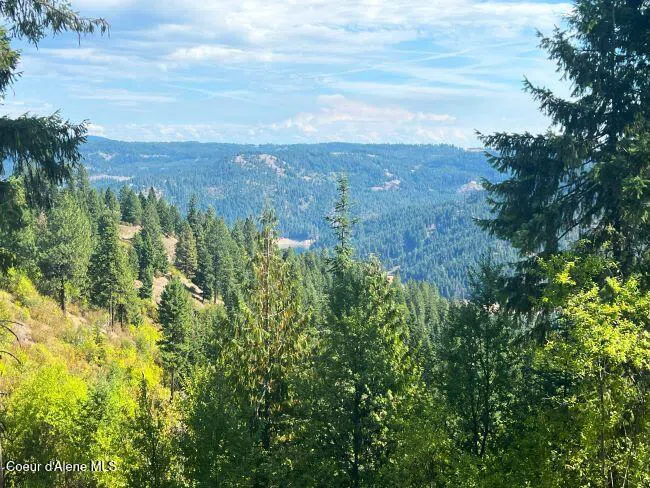 NKA 618acs Freeman Creek Road Lenore, ID 83541
