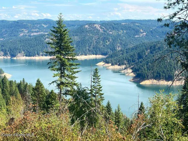 NKA 618acs Freeman Creek Road Lenore, ID 83541