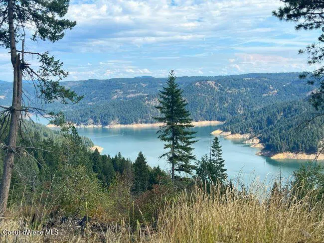 NKA 618acs Freeman Creek Road Lenore, ID 83541