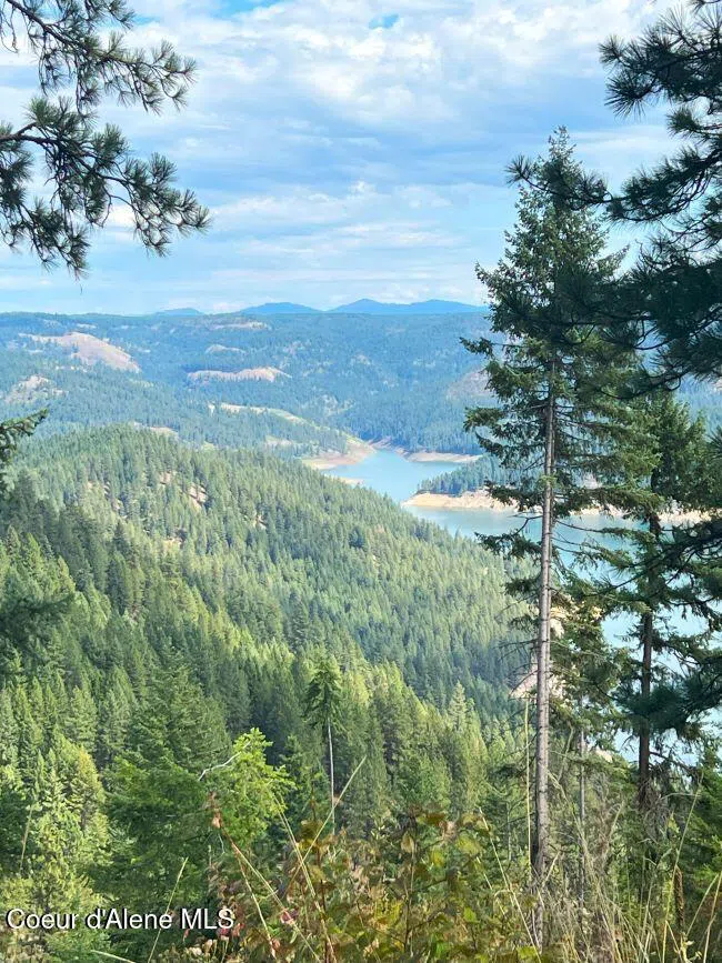 NKA 618acs Freeman Creek Road Lenore, ID 83541