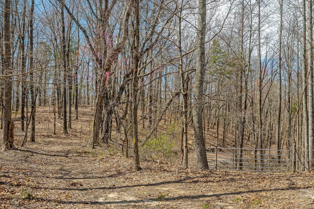 0 White Oak Flatt Rd Sparta, TN 38583
