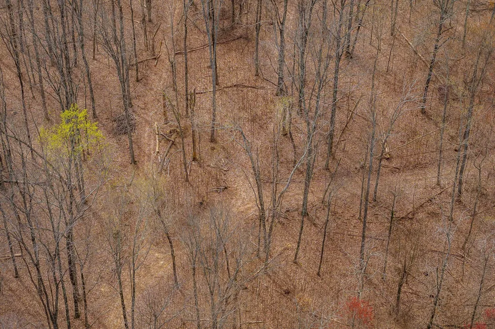 0 White Oak Flatt Rd Sparta, TN 38583