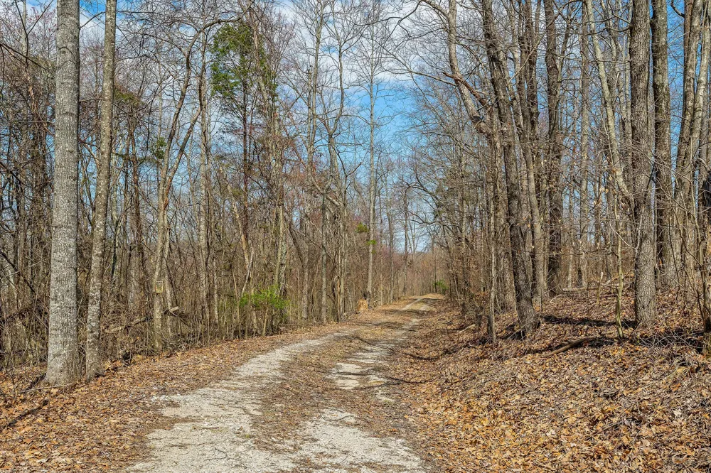 0 White Oak Flatt Rd Sparta, TN 38583
