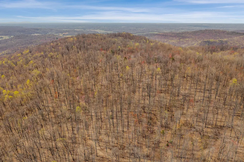 0 White Oak Flatt Rd Sparta, TN 38583
