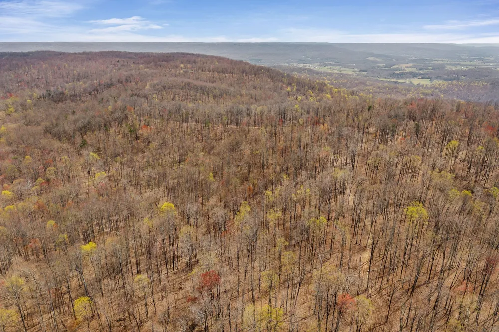 0 White Oak Flatt Rd Sparta, TN 38583