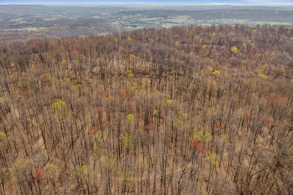 0 White Oak Flatt Rd Sparta, TN 38583