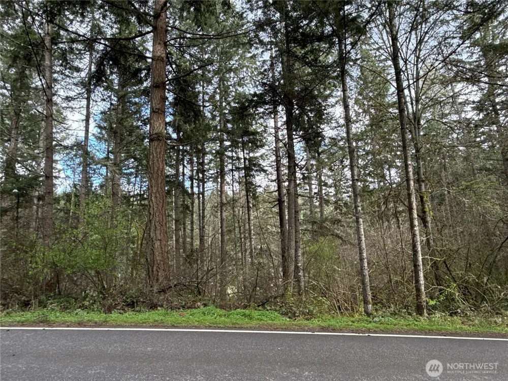 17636 E Clear Lake Boulevard SE Yelm, WA 98597