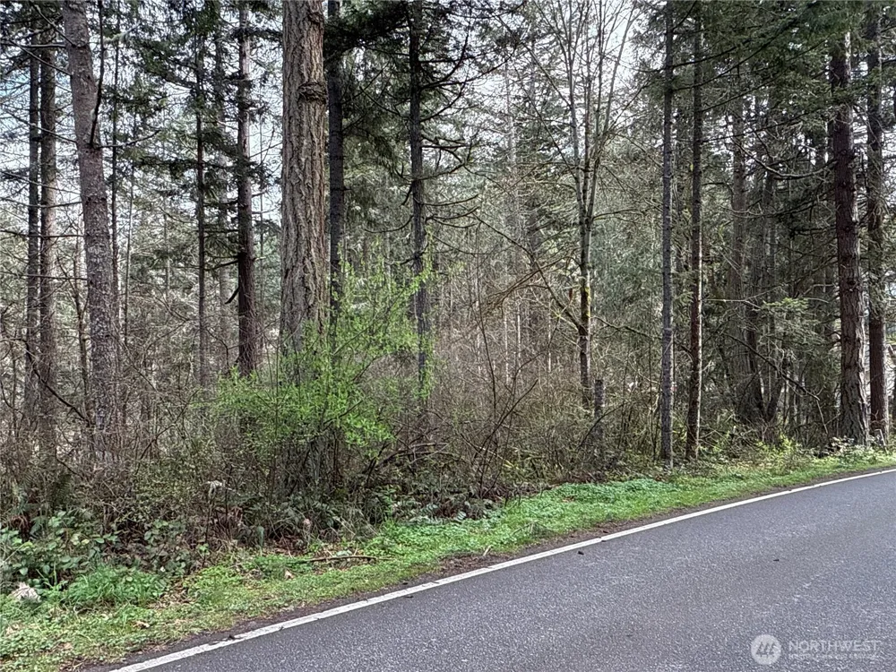 17636 E Clear Lake Boulevard SE Yelm, WA 98597