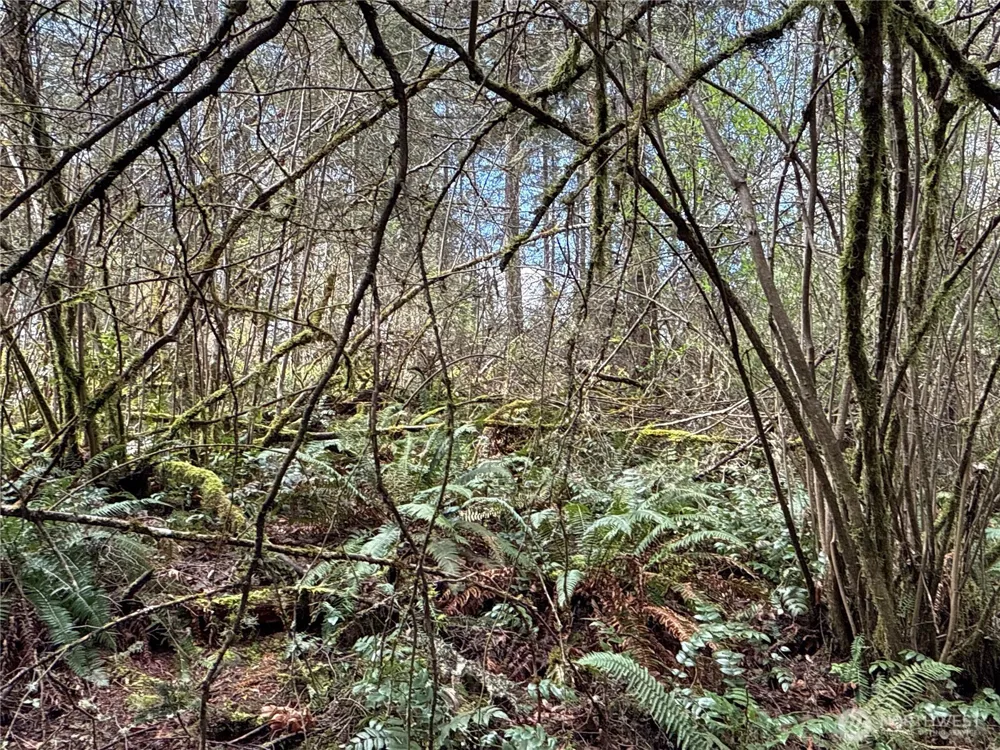 17636 E Clear Lake Boulevard SE Yelm, WA 98597