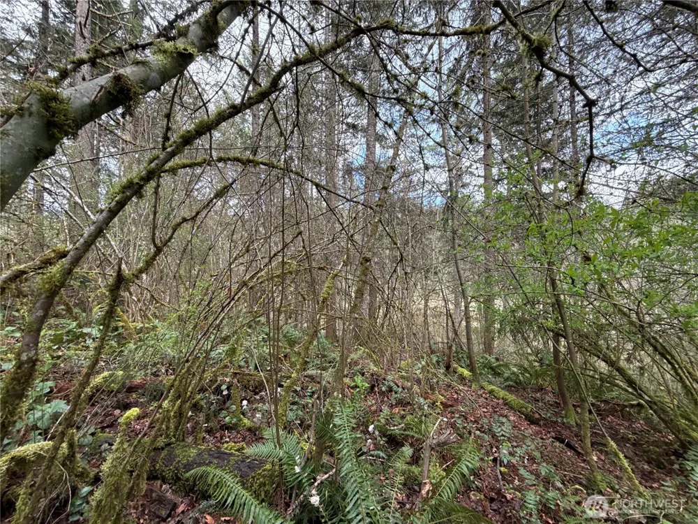 17636 E Clear Lake Boulevard SE Yelm, WA 98597