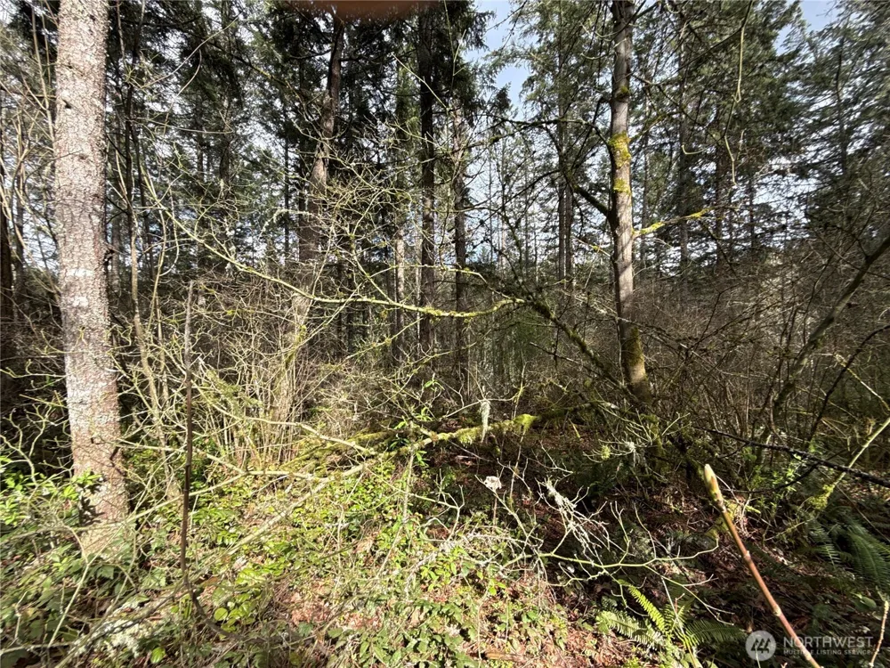 17636 E Clear Lake Boulevard SE Yelm, WA 98597