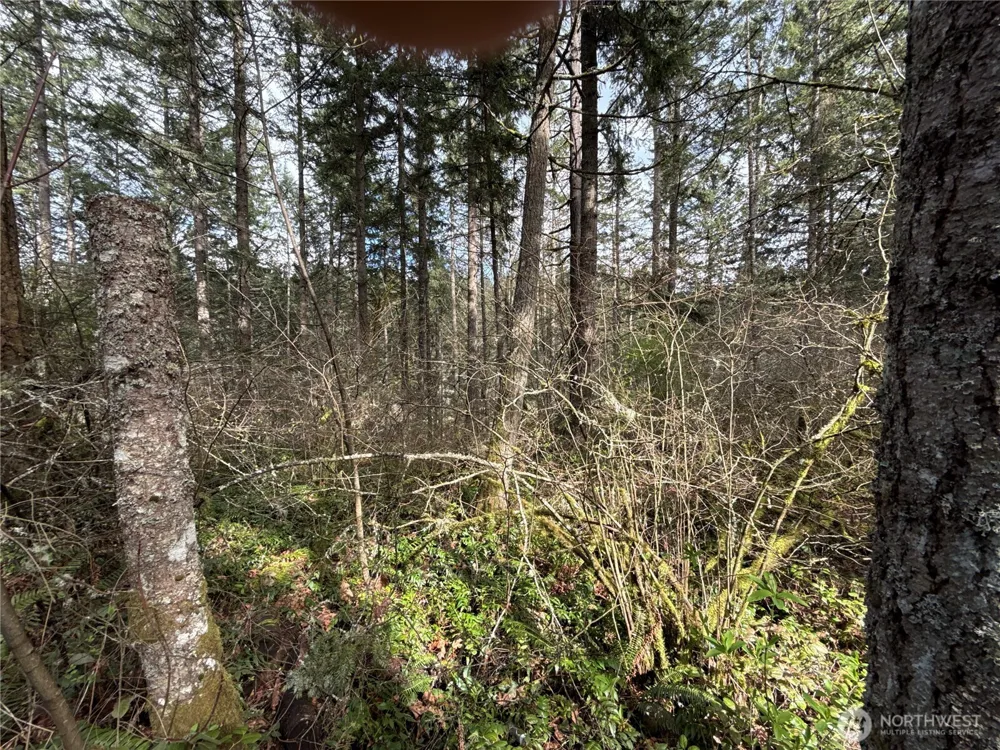 17636 E Clear Lake Boulevard SE Yelm, WA 98597