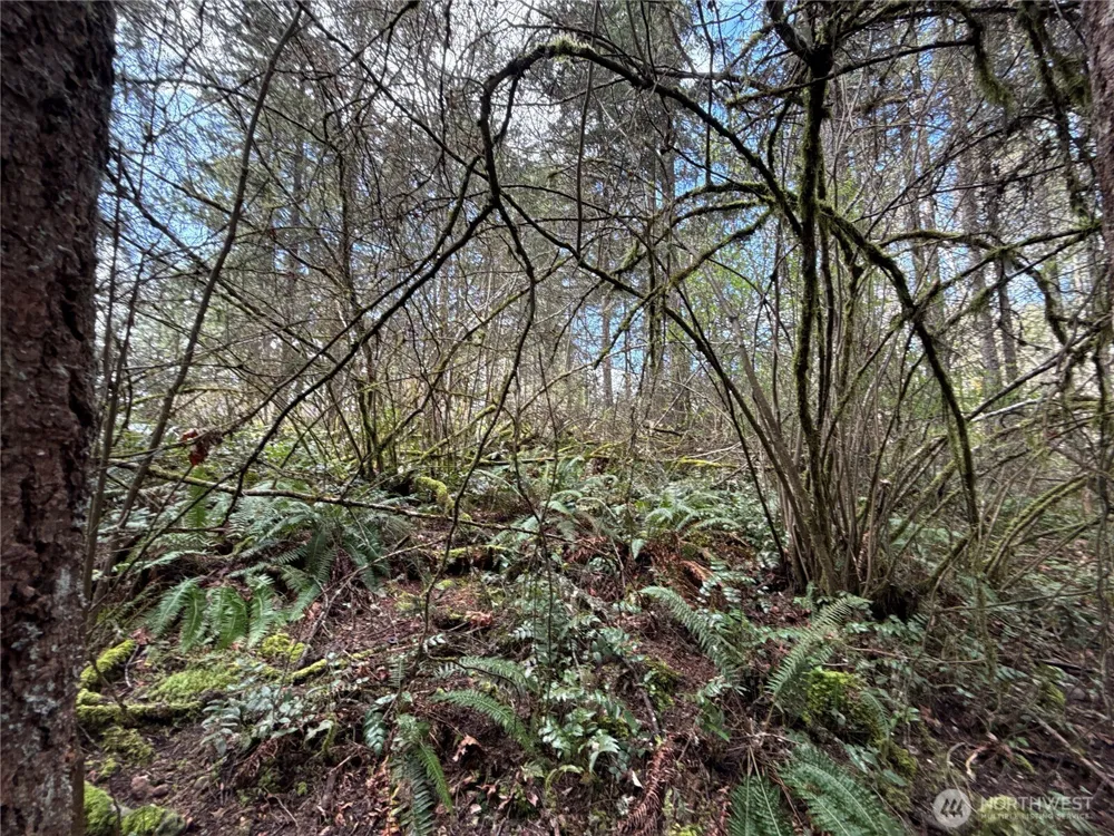 17636 E Clear Lake Boulevard SE Yelm, WA 98597