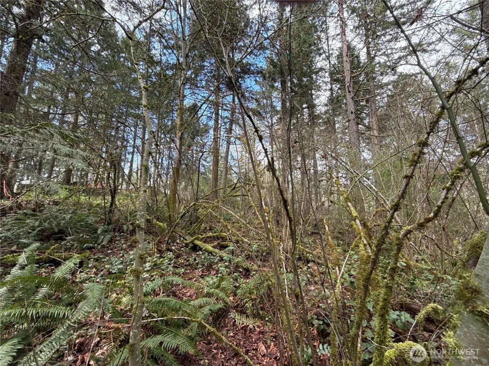 17636 E Clear Lake Boulevard SE Yelm, WA 98597