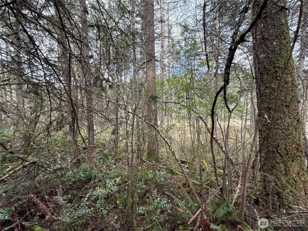 17636 E Clear Lake Boulevard SE Yelm, WA 98597