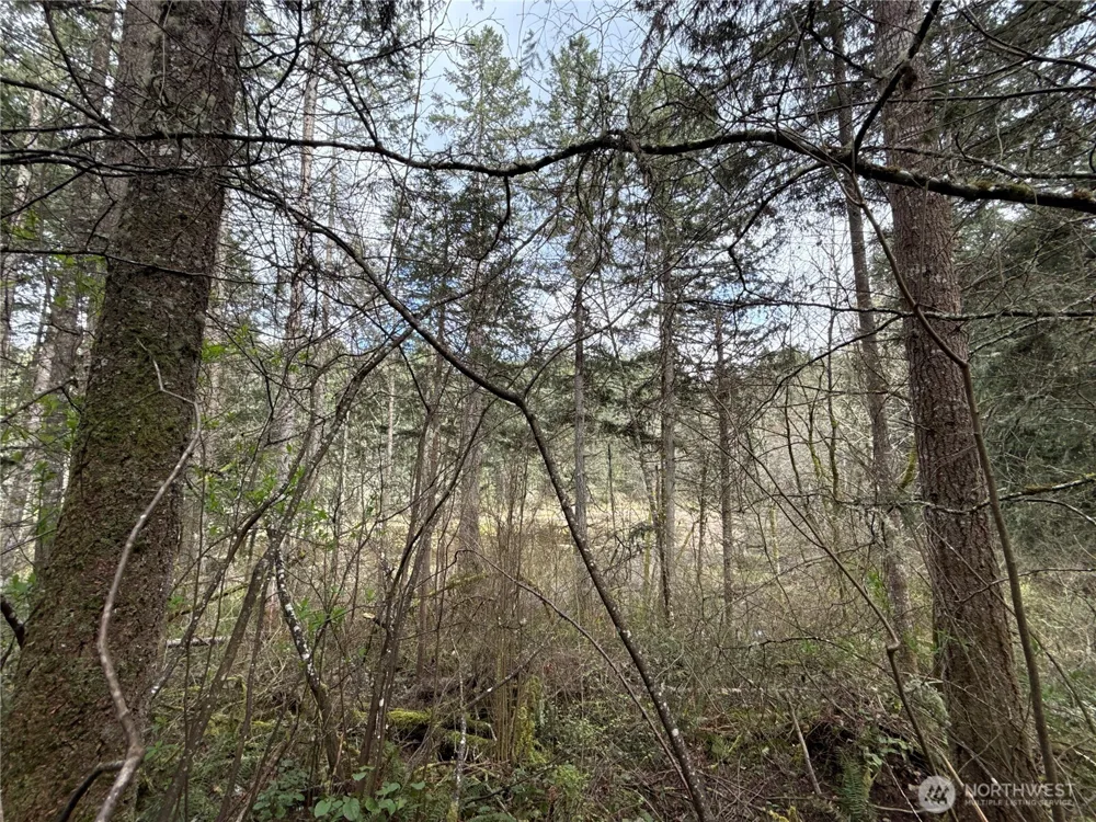 17636 E Clear Lake Boulevard SE Yelm, WA 98597