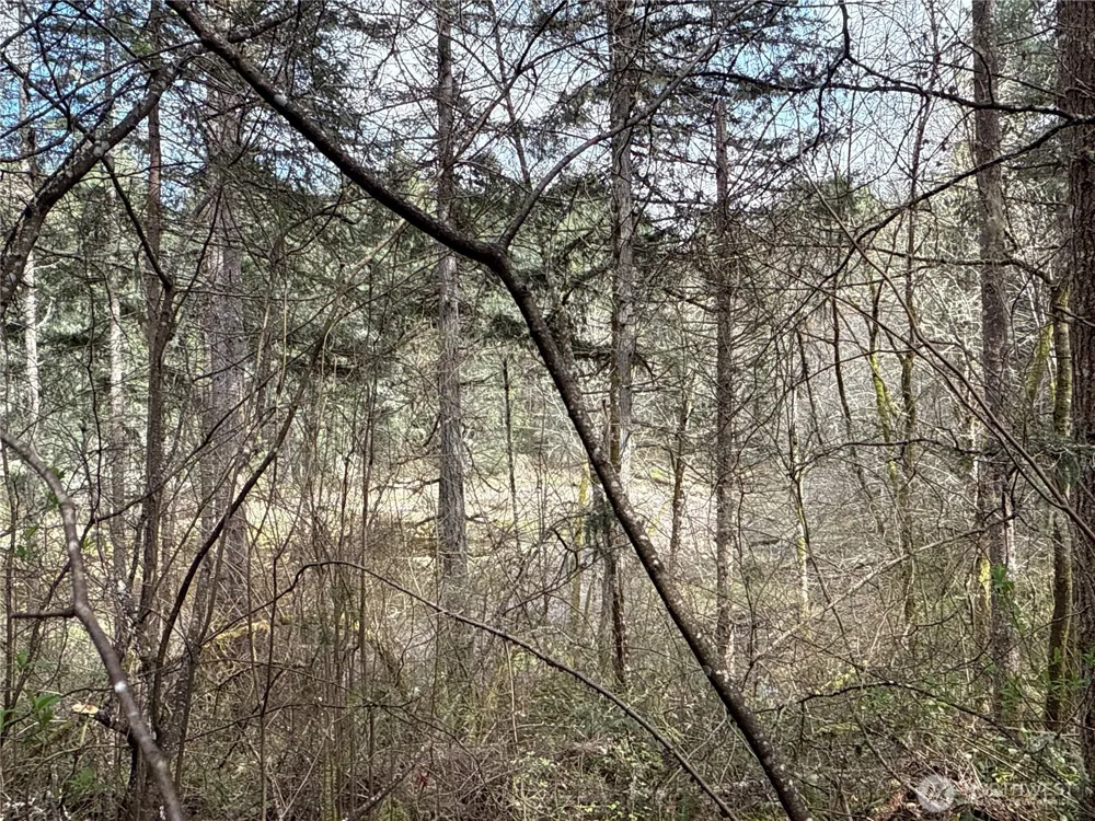 17636 E Clear Lake Boulevard SE Yelm, WA 98597