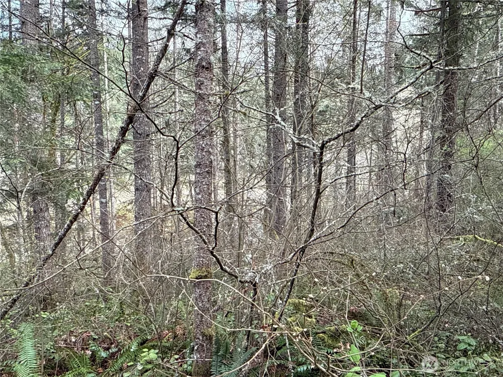 17636 E Clear Lake Boulevard SE Yelm, WA 98597
