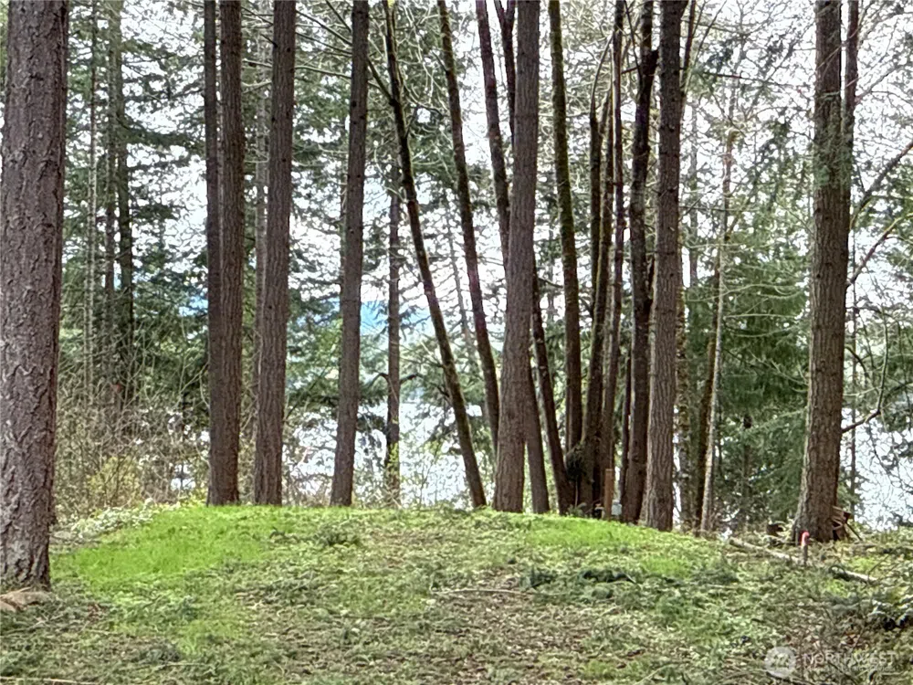 18243 SE Suncrest Court Yelm, WA 98597