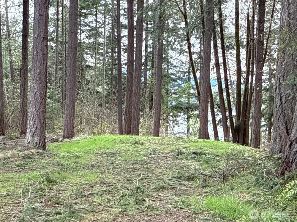 18243 SE Suncrest Court Yelm, WA 98597