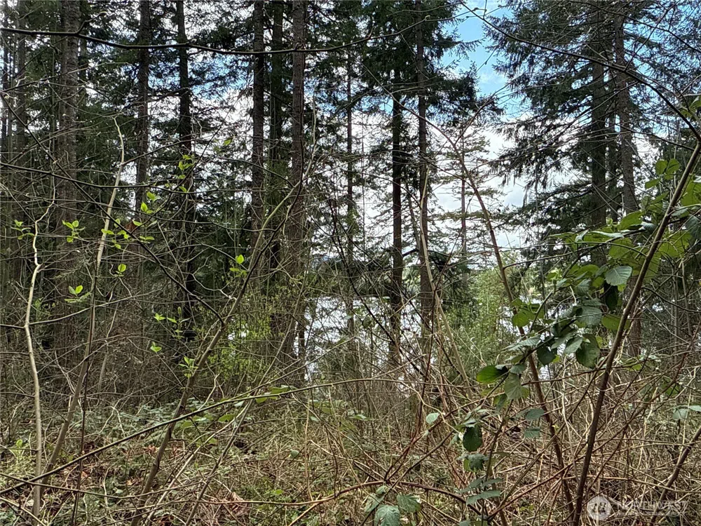 18243 SE Suncrest Court Yelm, WA 98597