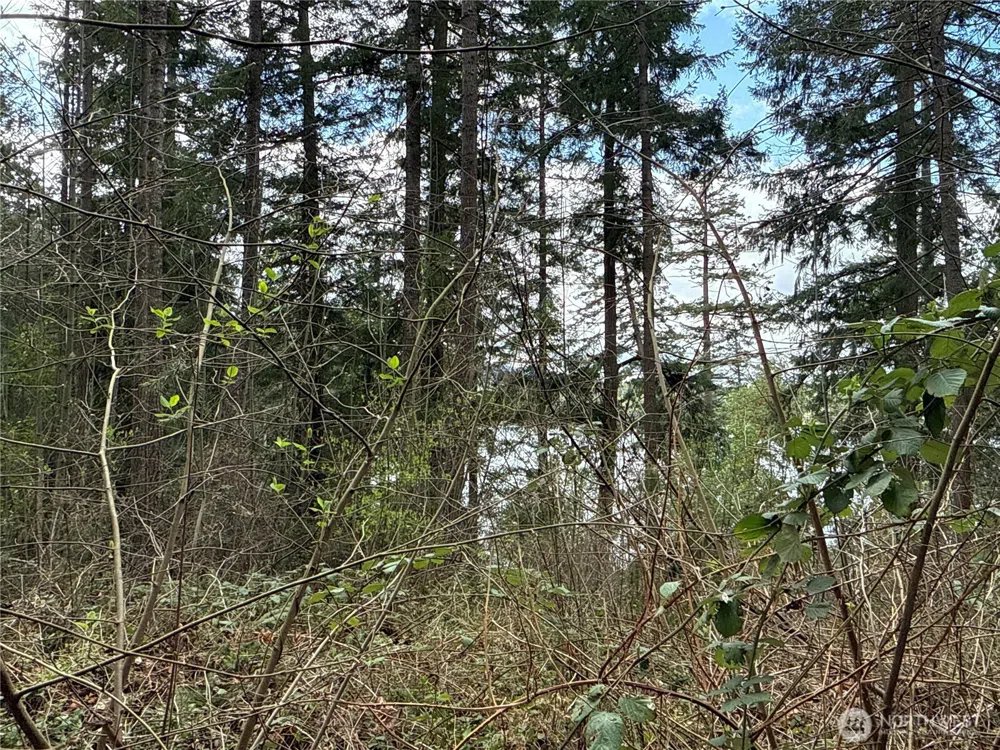 18243 SE Suncrest Court Yelm, WA 98597