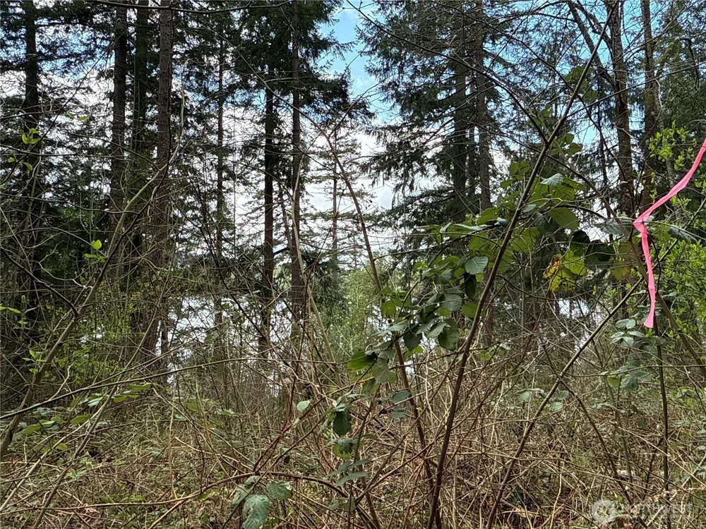18243 SE Suncrest Court Yelm, WA 98597