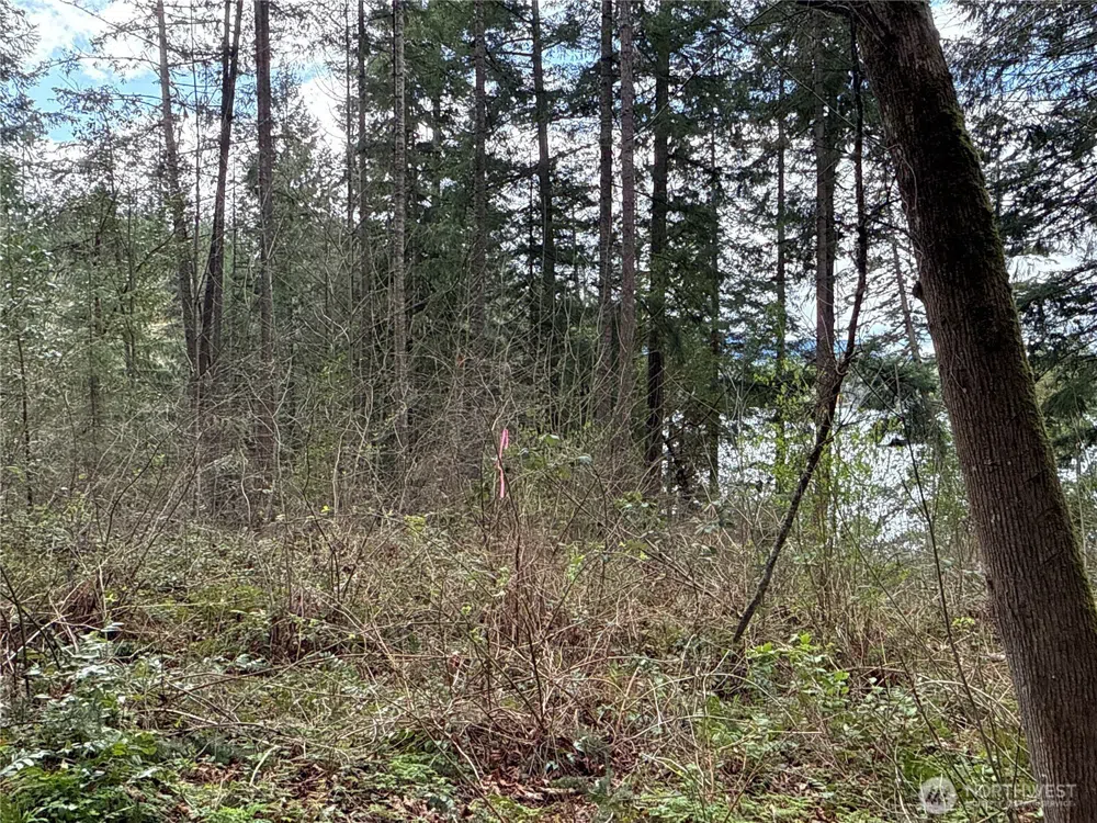 18243 SE Suncrest Court Yelm, WA 98597