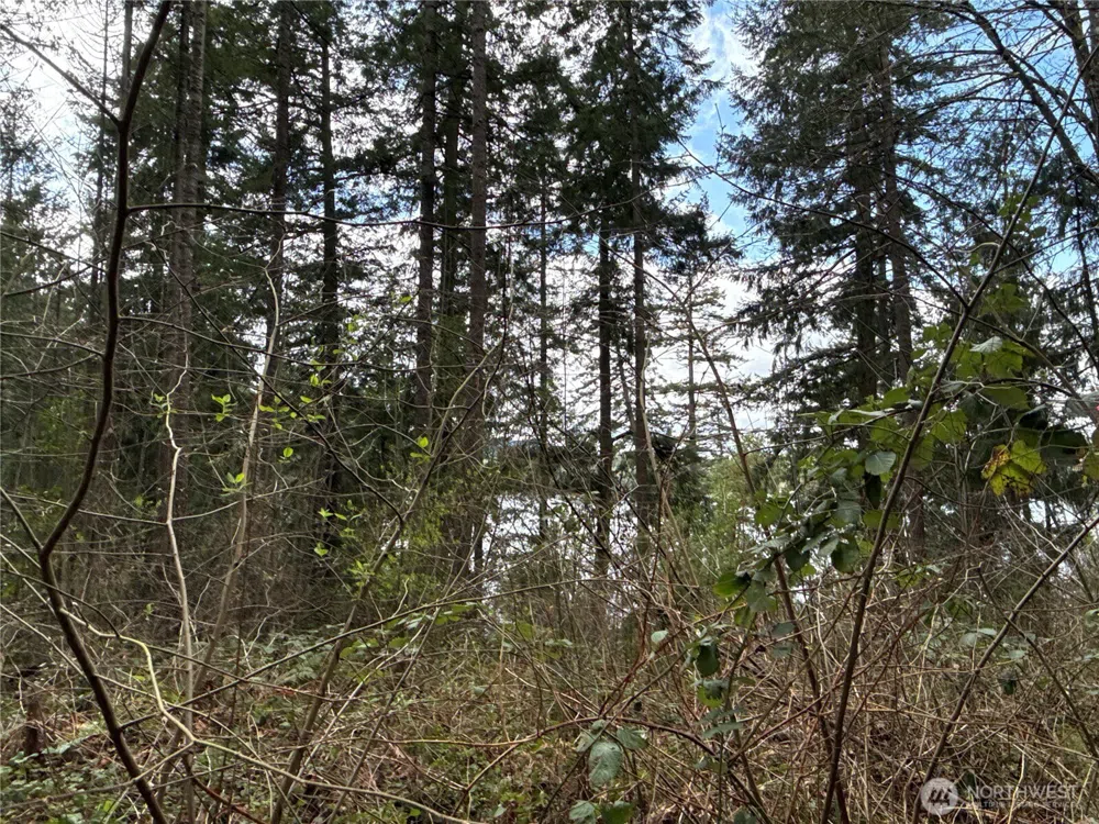 18243 SE Suncrest Court Yelm, WA 98597