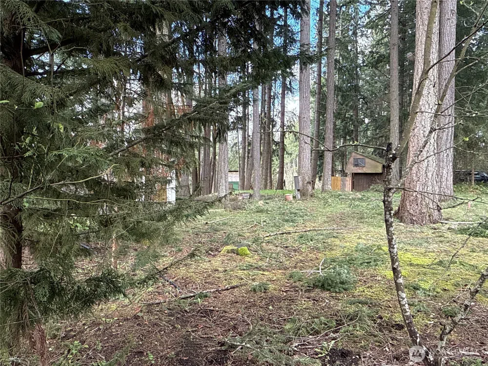 18243 SE Suncrest Court Yelm, WA 98597