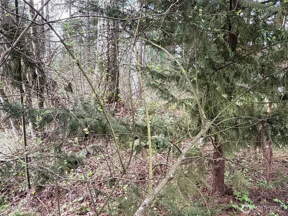 18243 SE Suncrest Court Yelm, WA 98597