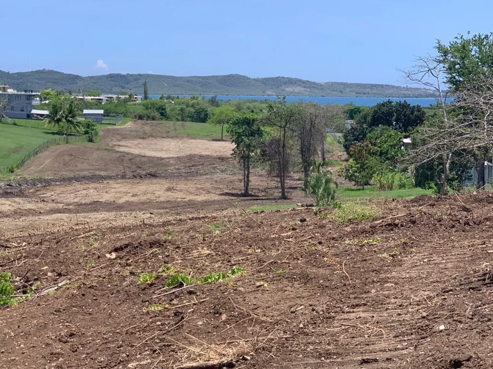 KM 7 PR307 Boqueron, PR 00622