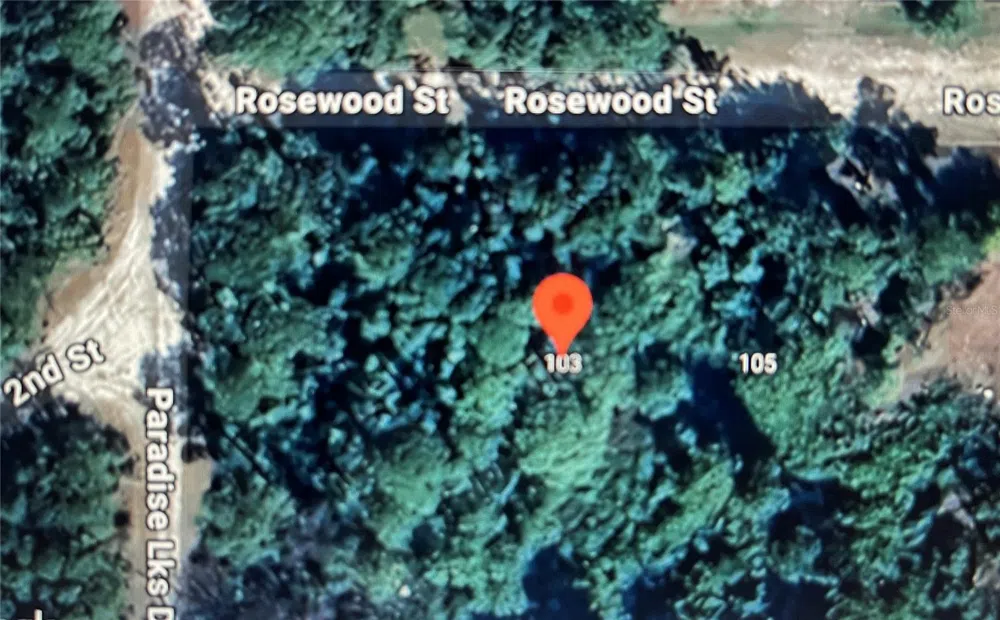 103 ROSEWOOD STREET Georgetown, FL 32139