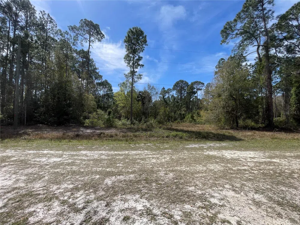 103 ROSEWOOD STREET Georgetown, FL 32139