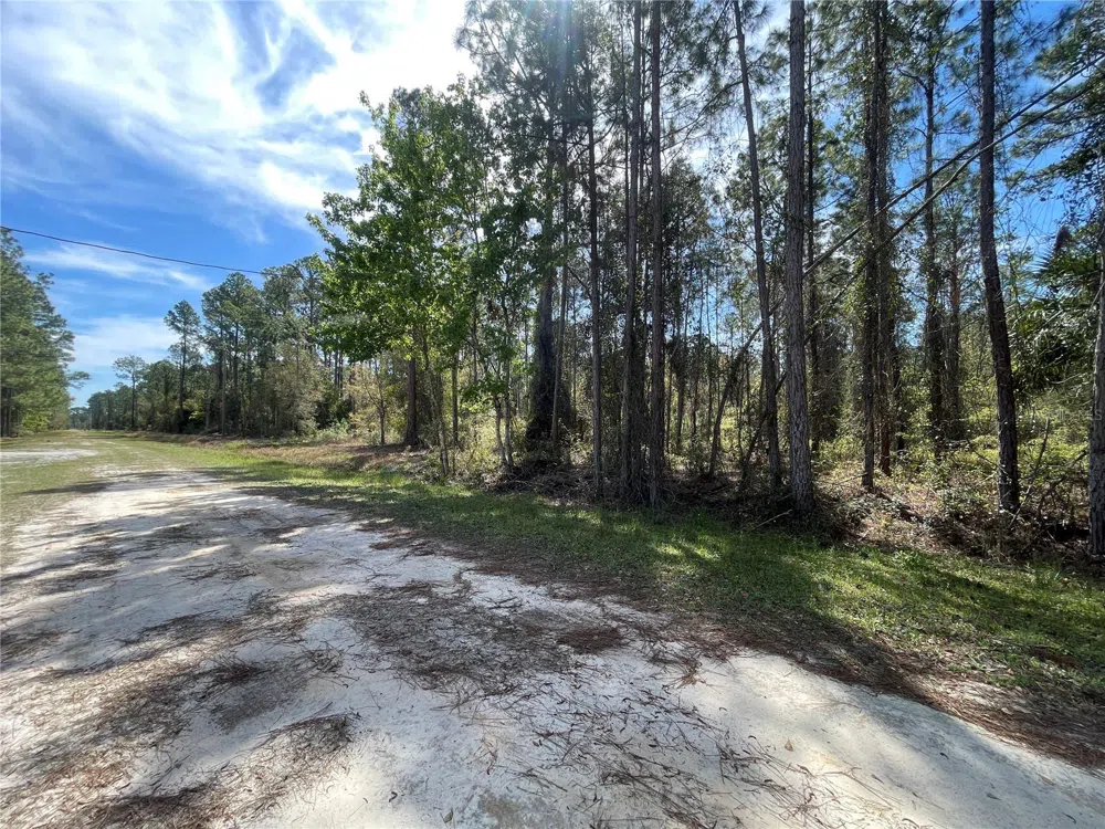 103 ROSEWOOD STREET Georgetown, FL 32139
