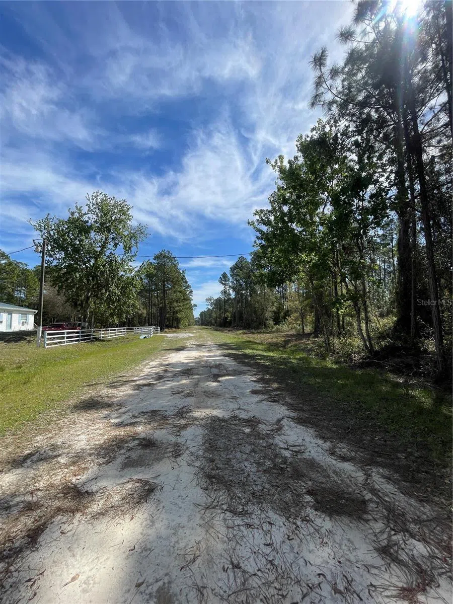 103 ROSEWOOD STREET Georgetown, FL 32139