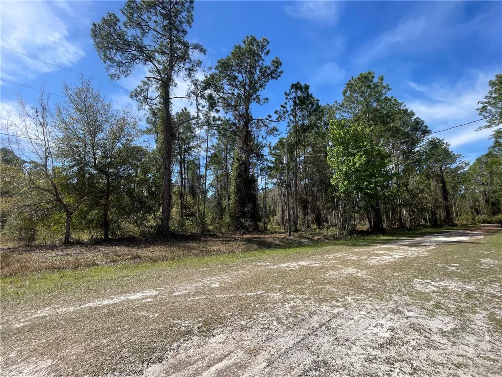 103 ROSEWOOD STREET Georgetown, FL 32139