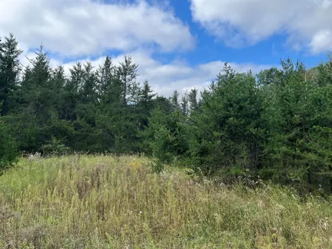 1707 Hassman Hill Tract D Road SW