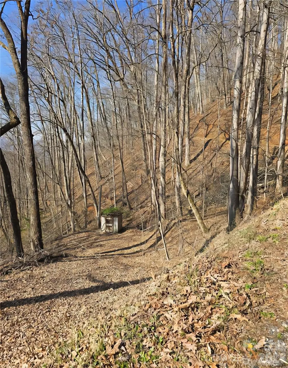 32 Black Mountain Road Cullowhee, NC 28723